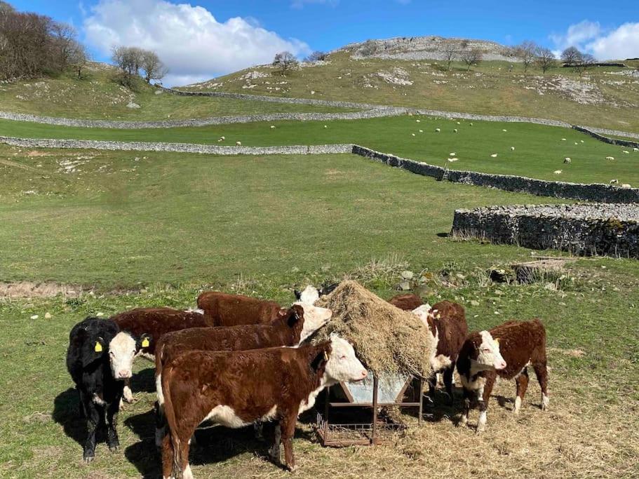 Charming Dog-Friendly Yorkshire Dales Cottage, Austwick Exterior foto