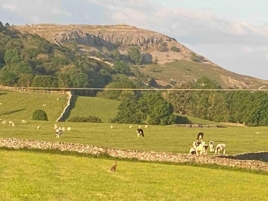 Charming Dog-Friendly Yorkshire Dales Cottage, Austwick Exterior foto